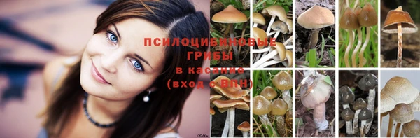 кристаллы Богородск