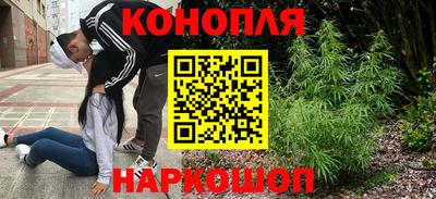 дмт Тавда